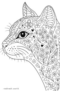 Кот антистресс