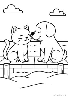 Кошка и собака