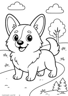 Собачка корги