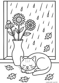 Осенние цветы и котик