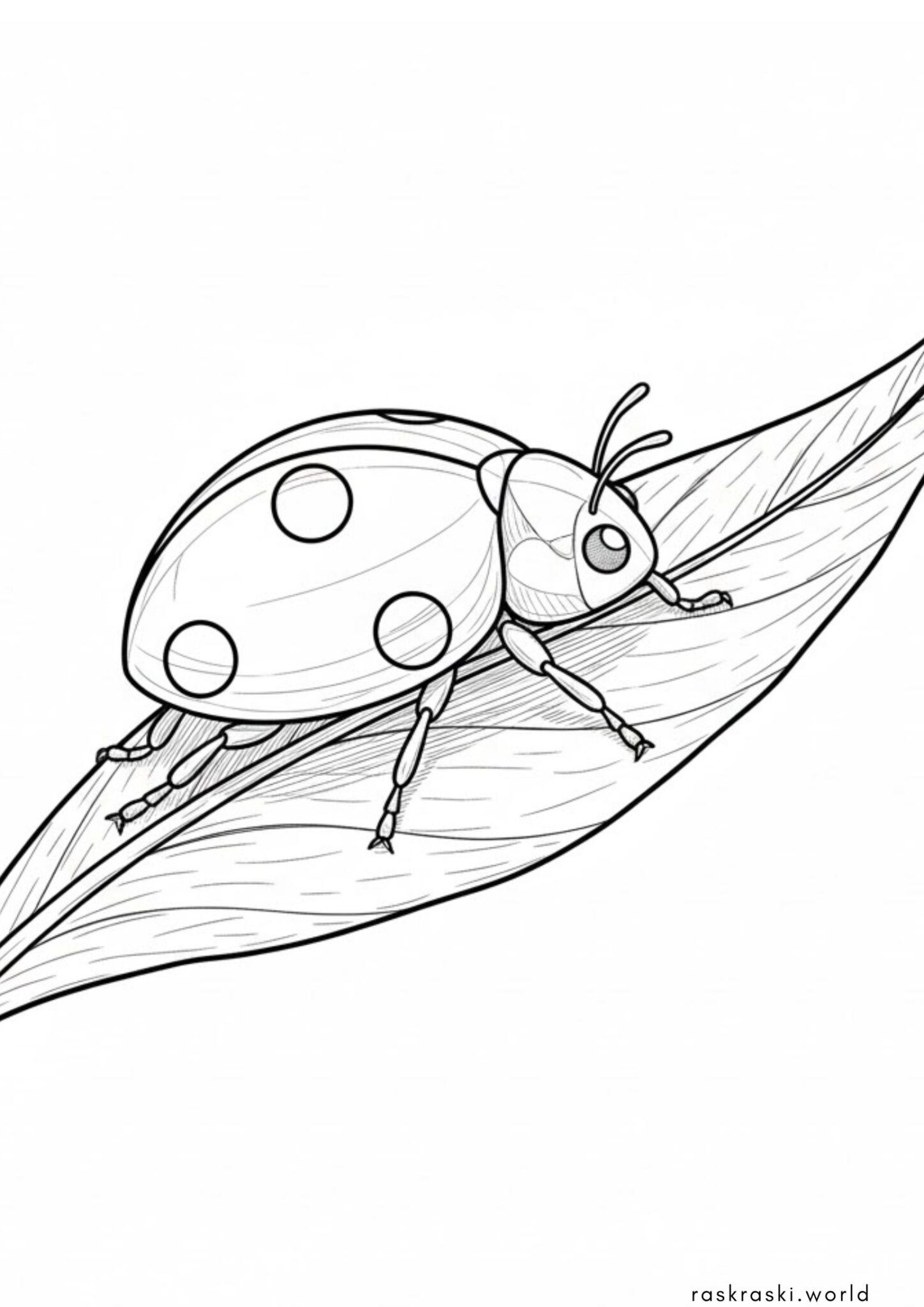 Раскраска Божья коровка ползет по листику Раскраска Божья коровка ползет по листику
