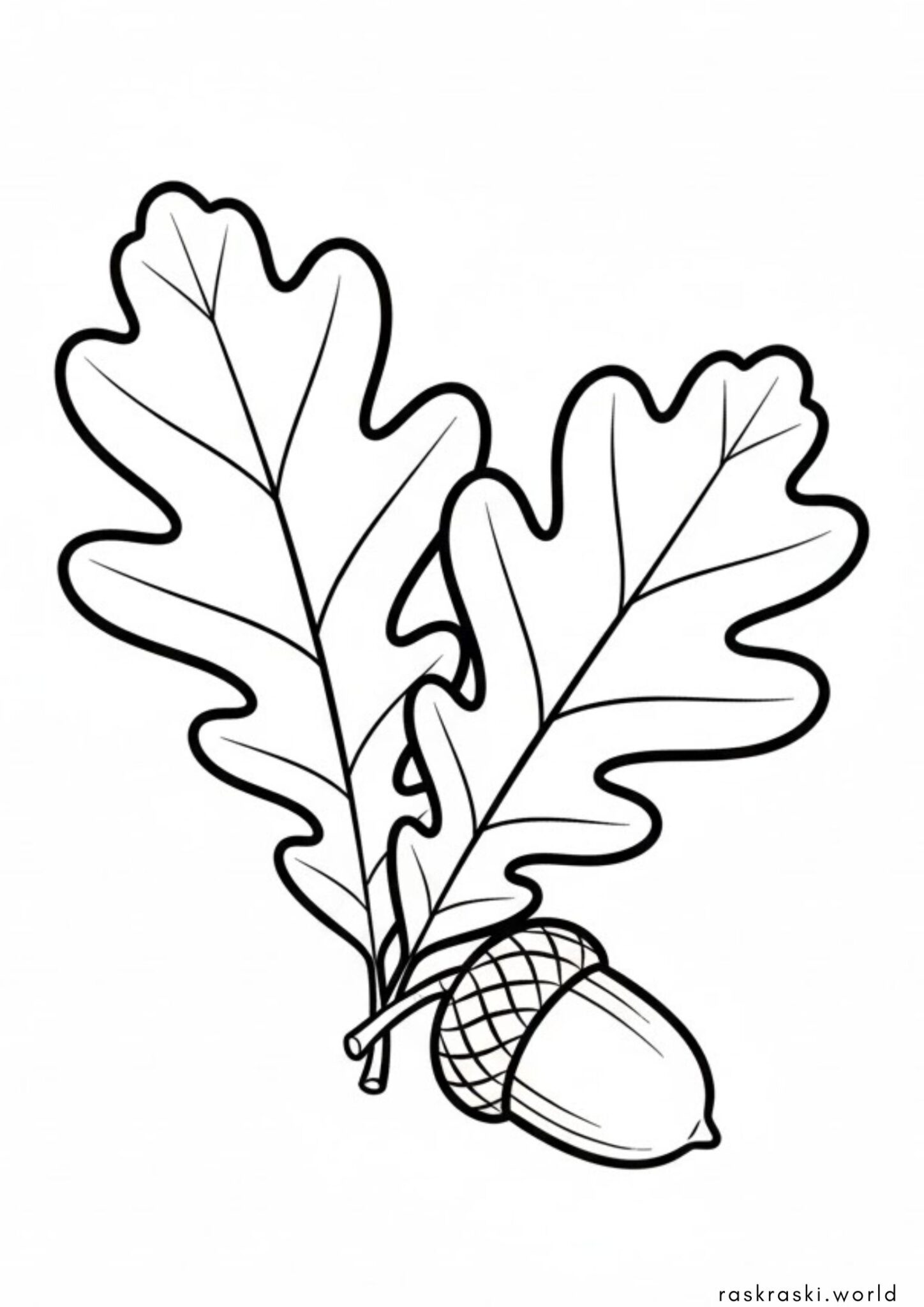 Раскраска Дубовые листочки и желудь