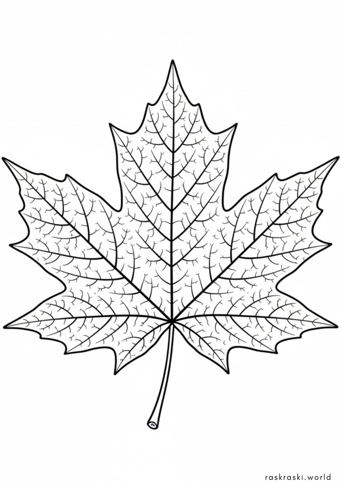 Раскраска Кленовый листочек