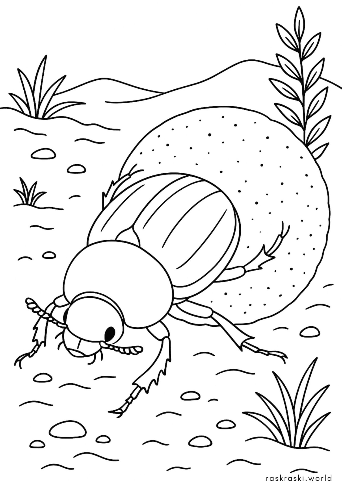 Раскраска Жук скарабей Раскраска Жук скарабей