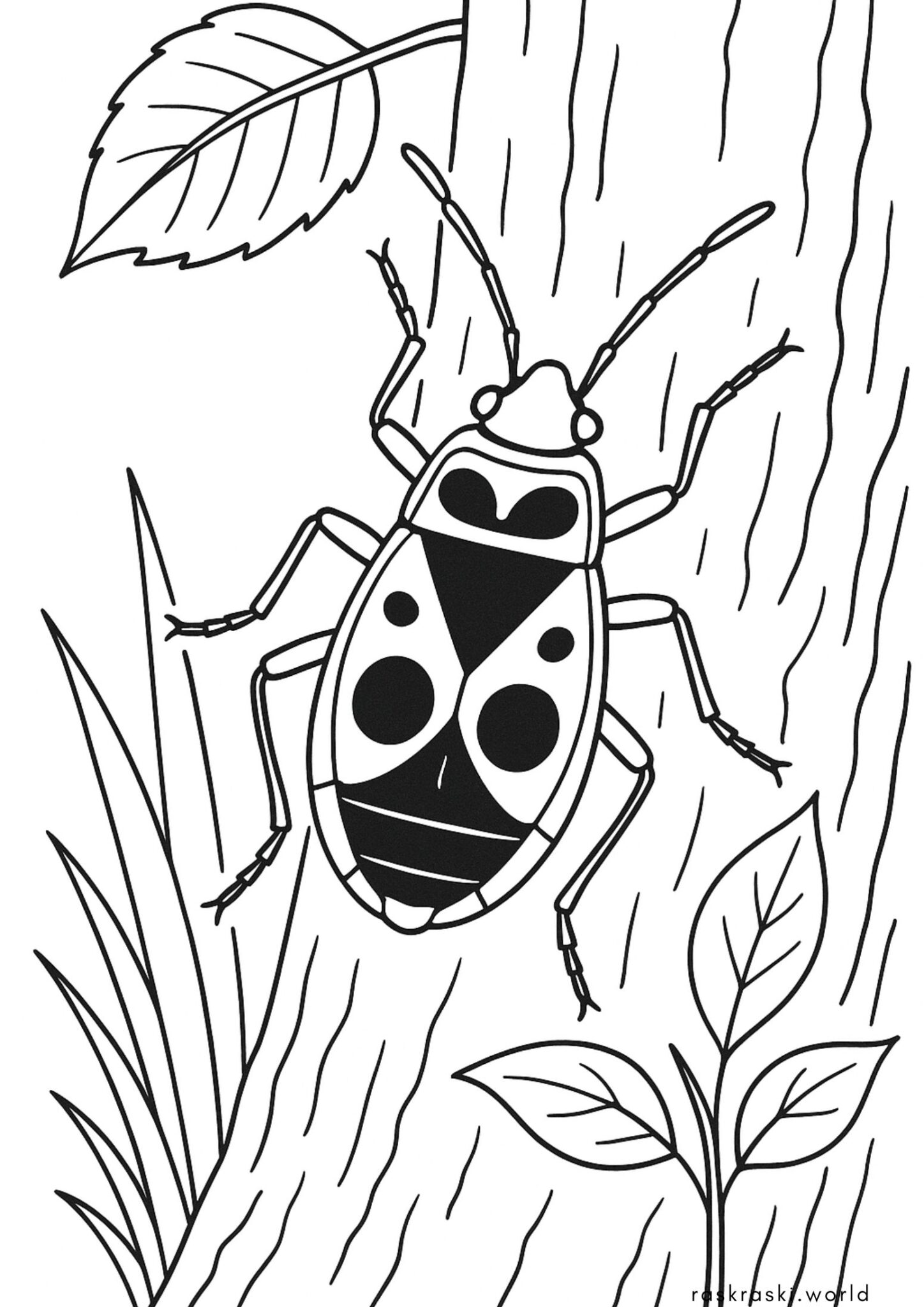 Раскраска Жук солдатик Раскраска Жук солдатик