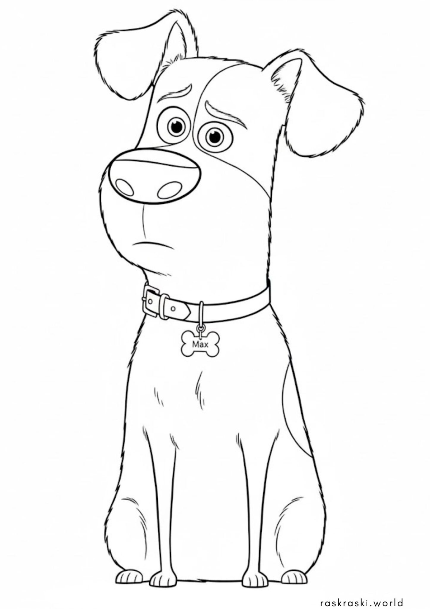 Раскраска Собачка Макс (Тайная жизнь домашних животных) Раскраска Собачка Макс (Тайная жизнь домашних животных)