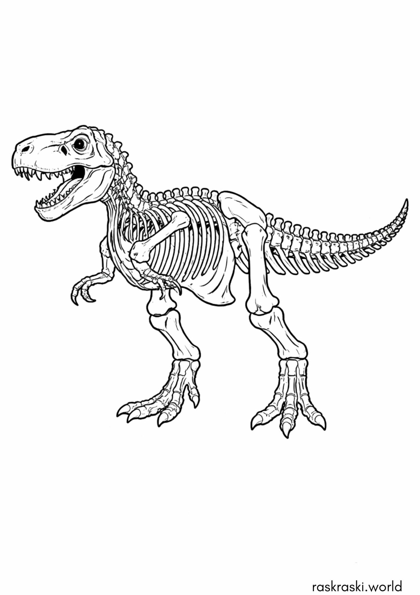Раскраска Скелет динозавра