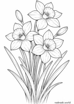 Весна – цветы нарциссы