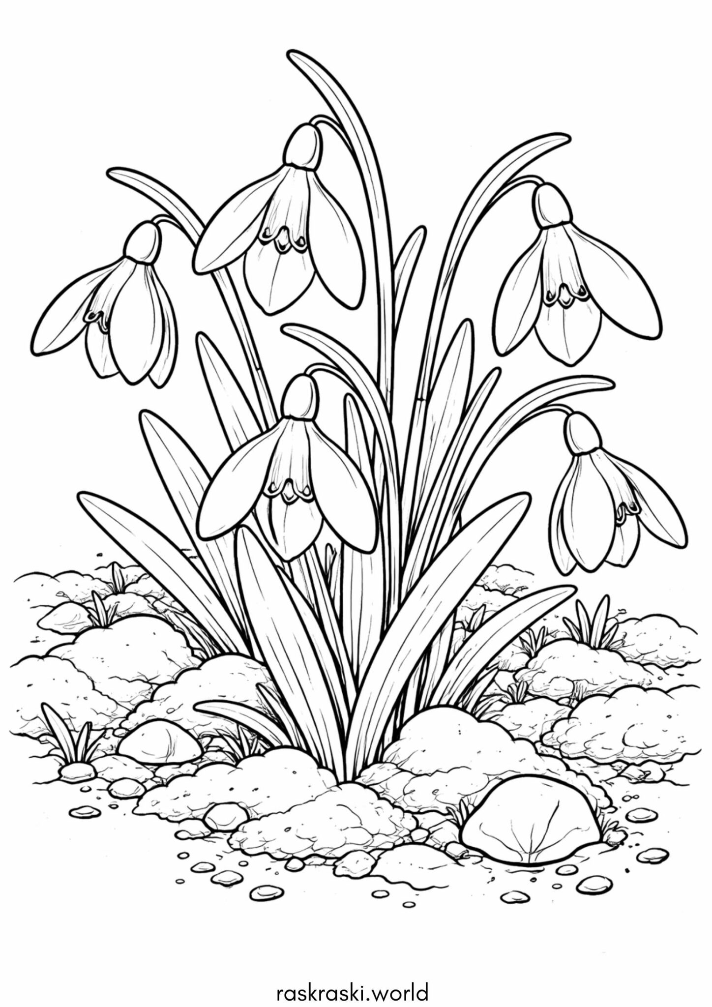 Раскраска Весна – первые подснежники