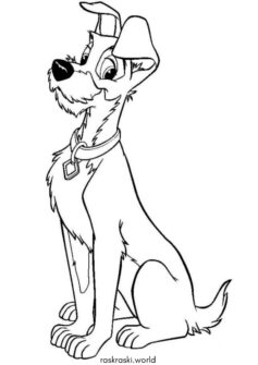 Бродяга из Леди и Бродяга