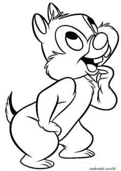 Бурундук Дейл