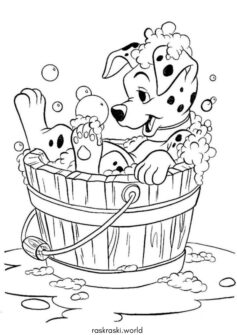 Далматинец в мыльном ведре