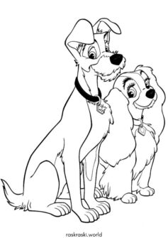 Леди и Бродяга