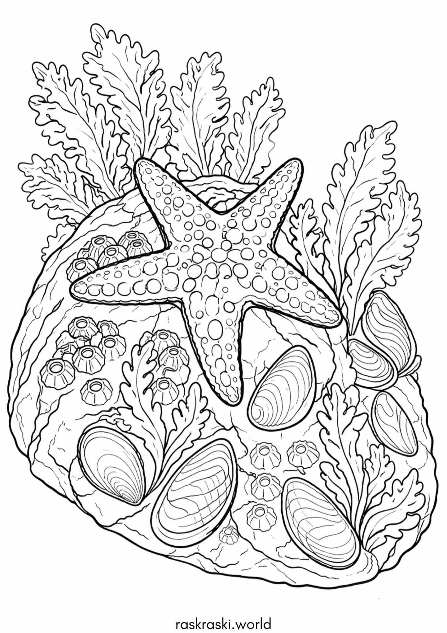 Раскраска Морская звездочка