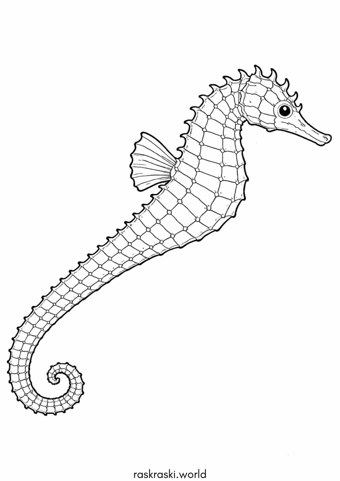 Раскраска Морской конек плывет Раскраска Морской конек плывет