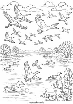 Перелетные птицы