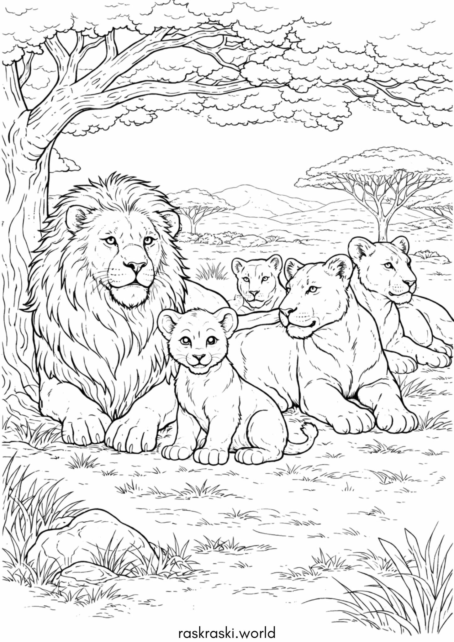 Раскраска Прайд львов