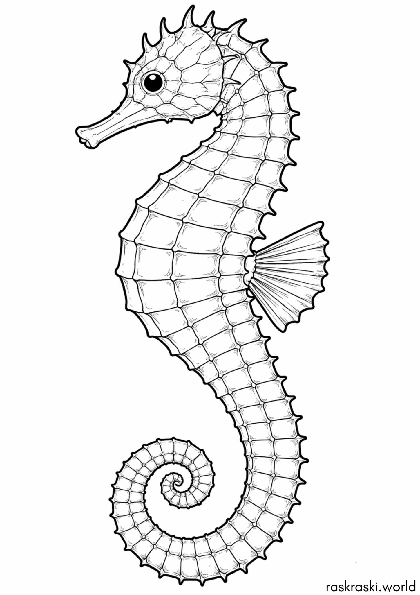 Раскраска Реалистичный морской конёк Раскраска Реалистичный морской конёк