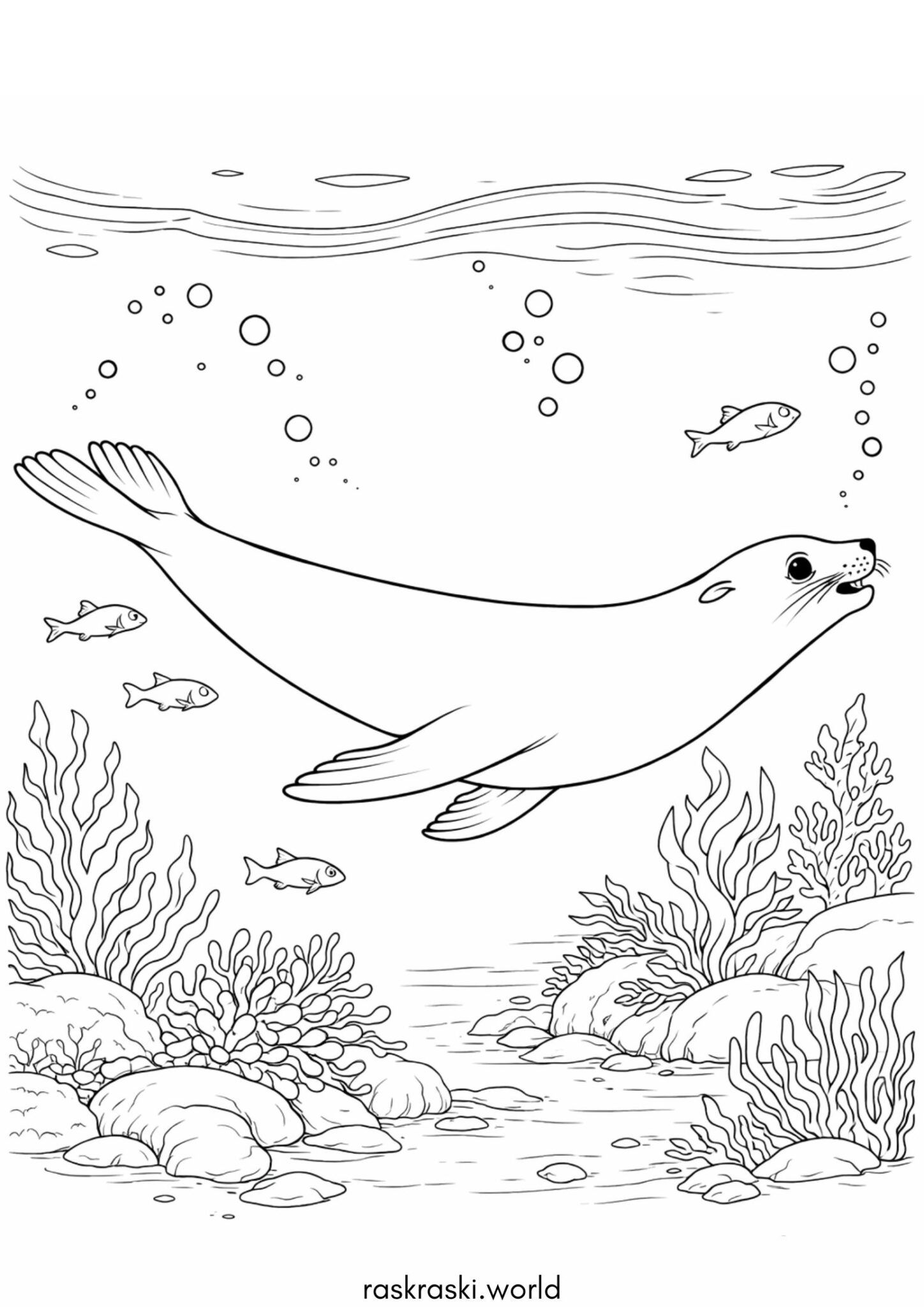Раскраска Реалистичный морской котик