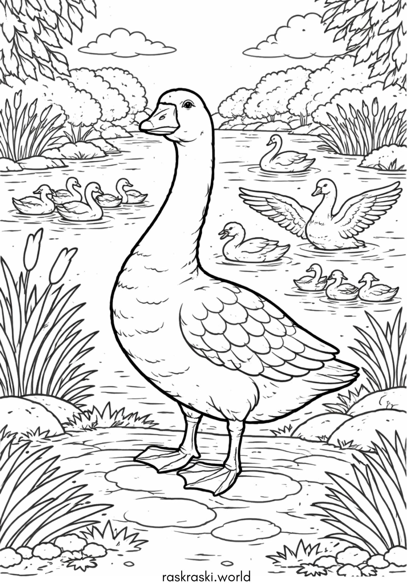 Раскраска Птицы — гуси