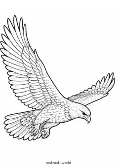 Птица — орел