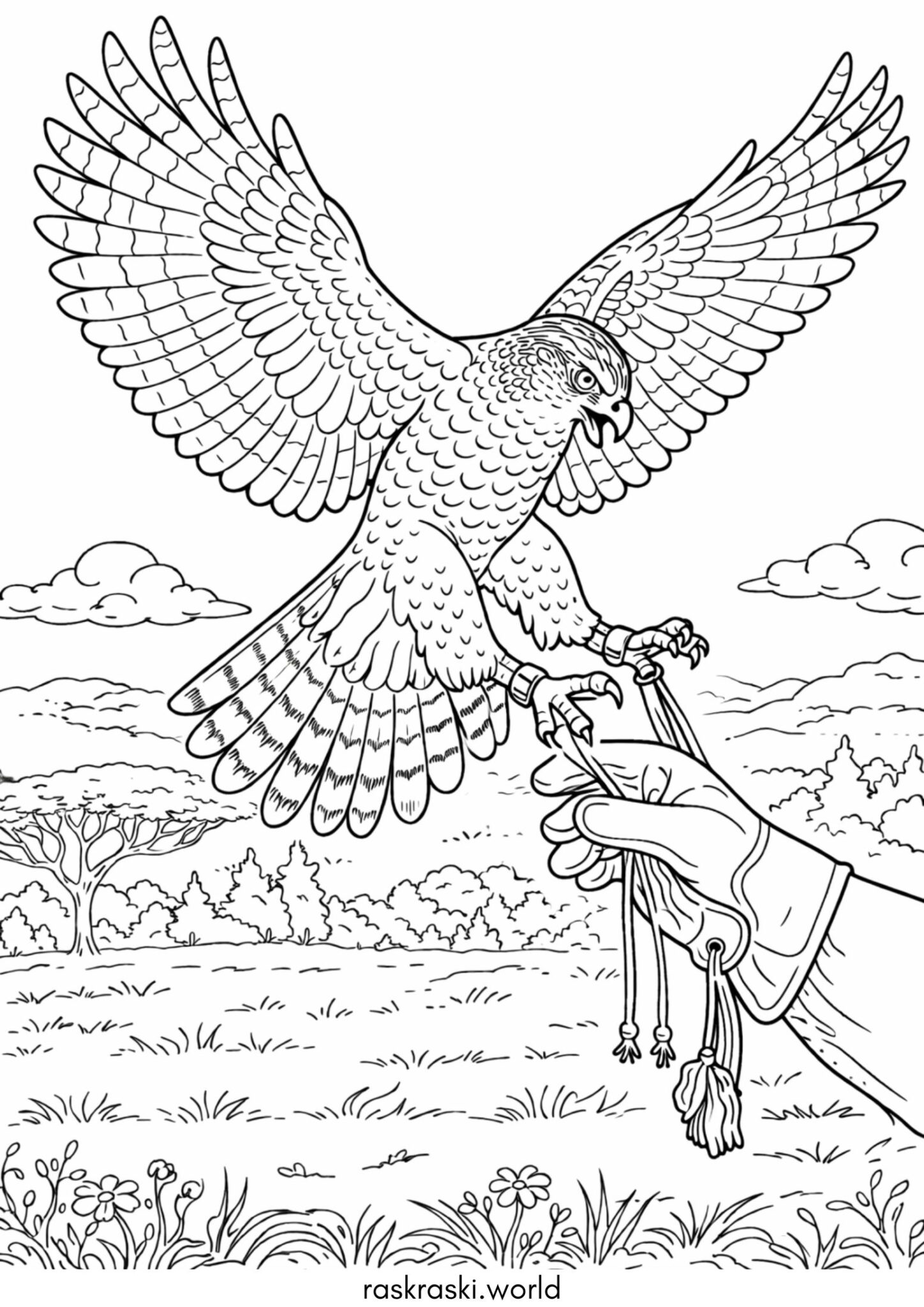 Раскраска Птица – ястреб